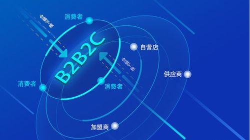 b2b2c五大商城平台运营模式,你了解哪几种?