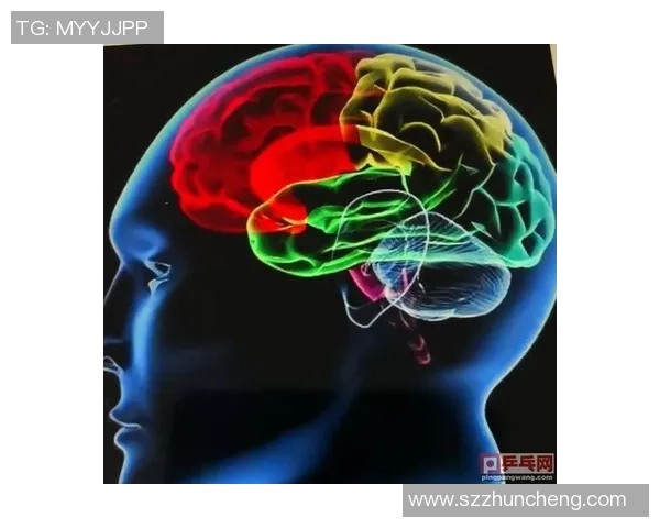 上海乒乓球队防反战术解析与实战应用探讨