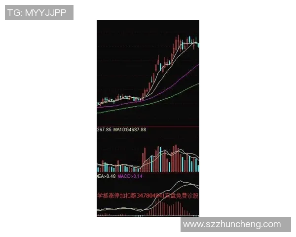 排球新手必看：掌握节奏与技巧的全面入门指南